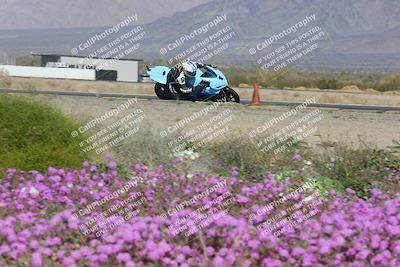 media/Feb-04-2023-SoCal Trackdays (Sat) [[8a776bf2c3]]/Turn 15 Inside Blooming (1050am)/